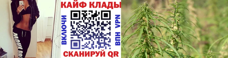 Купить закладку АМФ  Кодеин  Меф мяу мяу  Канабис  ГАШ  Альфа ПВП  Зерноград